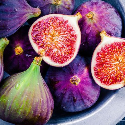 Ημερήσιες Προβλέψεις για όλα τα Ζώδια 07/08