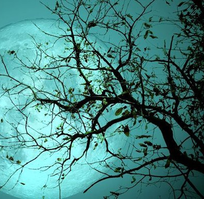 Αυτό το ζώδιο είσαι στο Κέλτικο ωροσκόπιο αν έχεις γεννηθεί από 21 Ιανουαρίου έως 17 Φεβρουαρίου