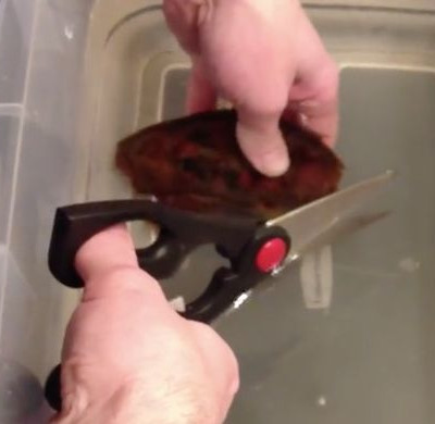 Κόβει με ψαλίδι αυτό το παράξενο αντικείμενο στο νερό και δεν φαντάζεστε τι βγαίνει από μέσα! (vid)