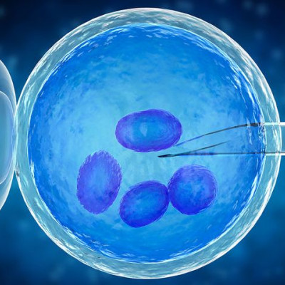 Κατάψυξη ωαρίων: Σε ποια ηλικία πρέπει να γίνεται