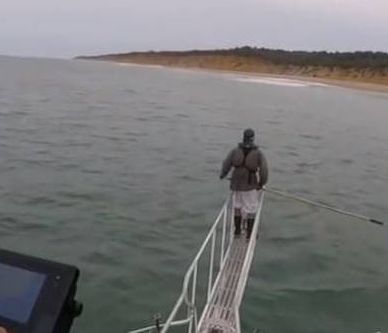 Τρόμος στο νερό! Πήγε να τον αρπάξει λευκός καρχαρίας και σώθηκε την τελευταία στιγμή (vid)
