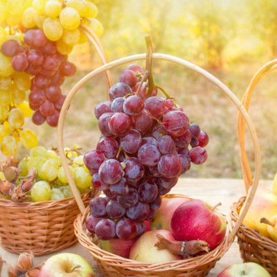 Σταφύλια: Πόσες θερμίδες έχουν & ποια θρεπτικά συστατικά δίνουν