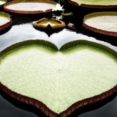 Ερωτικές Προβλέψεις για όλα τα Ζώδια, 08/09