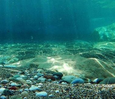 Τρόμος στο νερό: Δέχθηκε εφιαλτική επίθεση από «τέρας» του βυθού και δείτε τι έκανε!