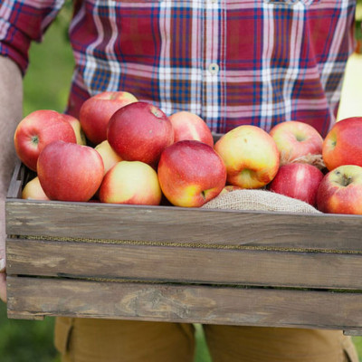 Τα 5 πιο σημαντικά οφέλη που έχουν τα μήλα στον οργανισμό