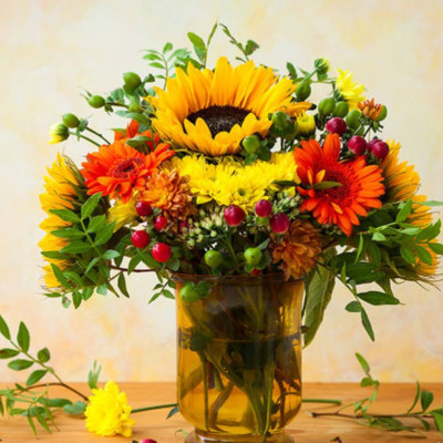 Ημερήσιες Προβλέψεις για όλα τα Ζώδια 18/09