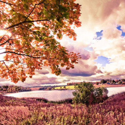 Ημερήσιες Προβλέψεις για όλα τα Ζώδια 20/09