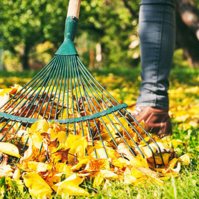 Ημερήσιες Προβλέψεις για όλα τα Ζώδια 23/09
