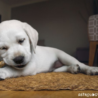 Ζώδια Σήμερα 28/9: Φάε, πιες και ξεκουράσου γιατί μετά έχεις... τρέξιμο!