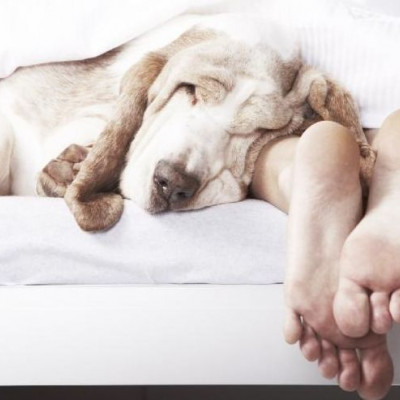 Τόσες ώρες ύπνου χρειάζεσαι ανάλογα με την ηλικία σου