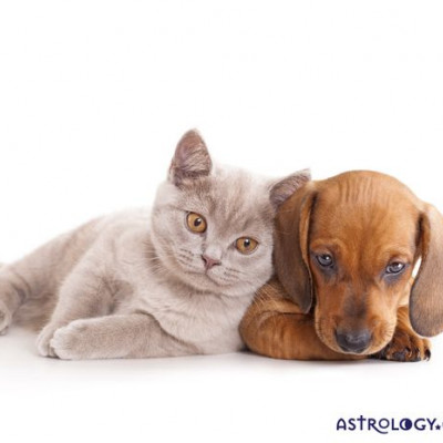 Ζώδια Σήμερα 9/10: Μαζί μπορούμε πολλά