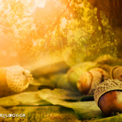 Ημερήσιες Προβλέψεις για όλα τα Ζώδια 15/10