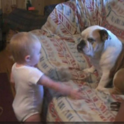 Αυτό το μωρό μαλώνει το μπουλντόγκ και τη συνέχεια δεν την φαντάζεσαι