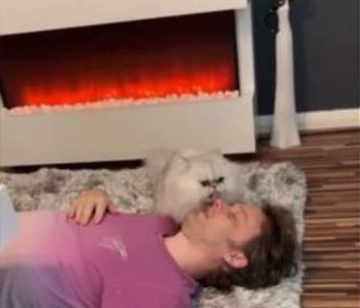 Η αντίδραση μιας γάτας όταν το αφεντικό της «πεθαίνει» (vid)