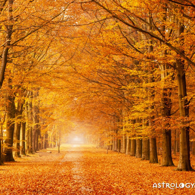 Όλα όσα θα συμβούν τον Νοέμβριο και πρέπει να μάθεις...