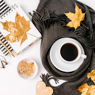 Ημερήσιες Προβλέψεις για όλα τα Ζώδια 02/11