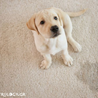 Ζώδια Σήμερα 2/11: Αυτοέλεγχος, αυτοσυγκράτηση και πειθαρχία