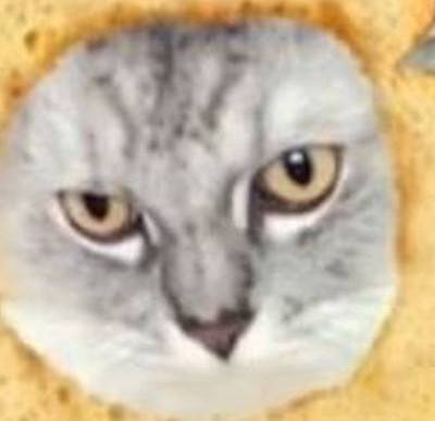 Η γάτα που μισεί τα φίλτρα του Snapchat! (vid)