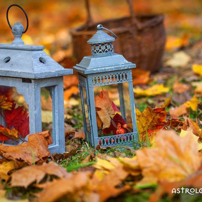 Ημερήσιες Προβλέψεις για όλα τα Ζώδια 11/11