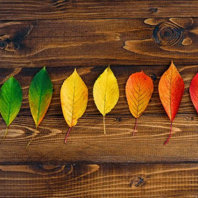 Ημερήσιες Προβλέψεις για όλα τα Ζώδια 16/11