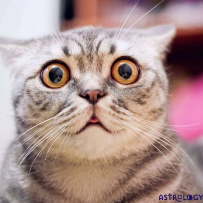 Ζώδια Σήμερα 18/11: Φτου κι απ’ την αρχή!