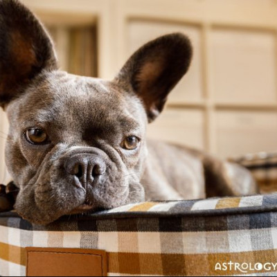 Ζώδια Σήμερα 10/12: Σιγά και ταπεινά…