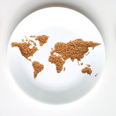 Θα φέρουν τα Χριστούγεννα χαρά & περιττά κιλά; Με τη σωστή ενημέρωση & αντιμετώπιση, όχι απαραίτητα