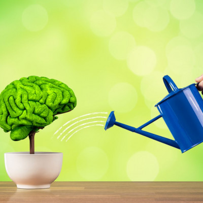 Υγεία εγκεφάλου: Με πόση άσκηση και ποια διατροφή θα «ξανανιώσει»