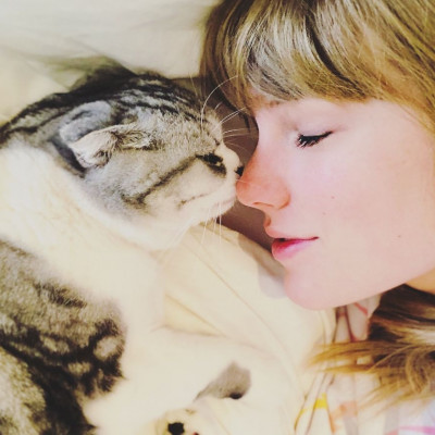 Αυτοί οι διάσημοι αγαπούν τις γάτες και δεν το κρύβουν!