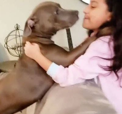 Σκύλος που βρέθηκε εγκαταλελειμμένος και υιοθετήθηκε από οικογένεια παίρνει το πρώτο του δώρο (vid)