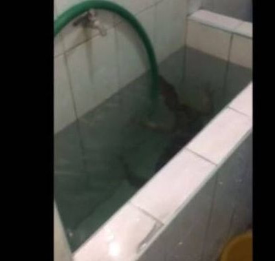 Ανακάλυψε κάτι τρομακτικό στο μπάνιο του! (vid)