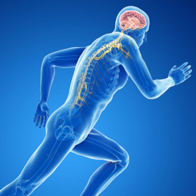 Νοητική έκπτωση: Πόση άσκηση προστατεύει τον εγκέφαλο