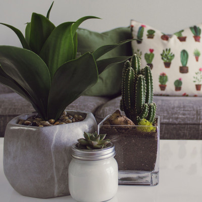 10 DIY ιδέες για να κάνεις το σπίτι και το δωματιό σου να μυρίζει άνοιξη