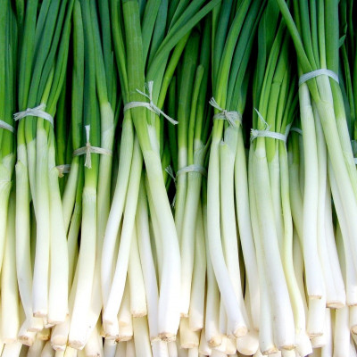 Το κόλπο για να μένουν φρέσκα τα πράσινα χλωρά κρεμμύδια για μήνες