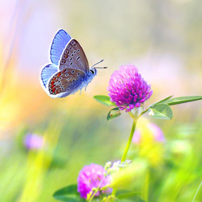 Όλα όσα πρέπει να γνωρίζεις για τον Απρίλιο;
