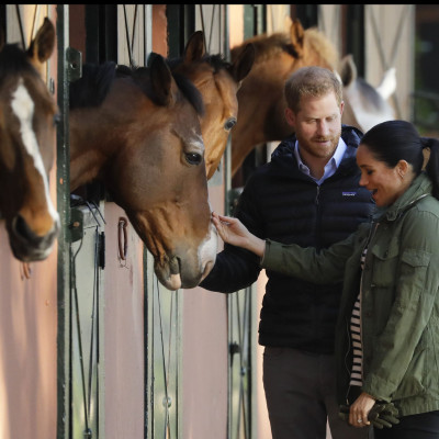 Royal cuteness alert: Ο πρίγκιπας Harry μικρός παίζει με ένα κουταβάκι και γίνεται viral