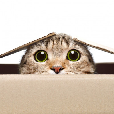 Πώς περιγράφει ο Ταύρος με λίγες λέξεις όλους τους άλλους!