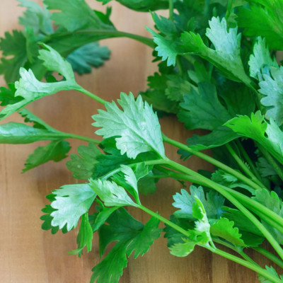 Κόλιανδρος: Γνωρίστε τα μοναδικά οφέλη του για την ψυχική και σωματική υγεία (εικόνες)