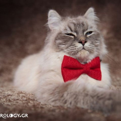 Σήμερα 08/06: Δείξε ανωτερότητα