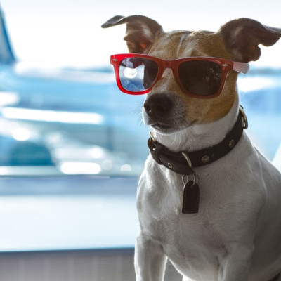 Ένα ενδιαφέρον ταξίδι με το αεροπλάνο!