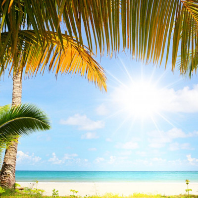 Όλα όσα χρειάζεται να ξέρεις για τον Ιούλιο του 2019