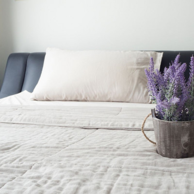 6 φυτά εσωτερικού χώρου που εγγυώνται καλύτερο ύπνο (video)