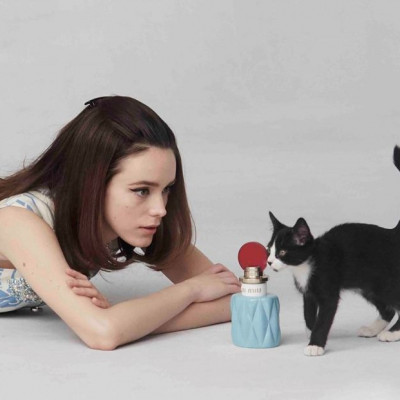 Έξι καμπάνιες μόδας με πρωταγωνίστριες... γάτες!