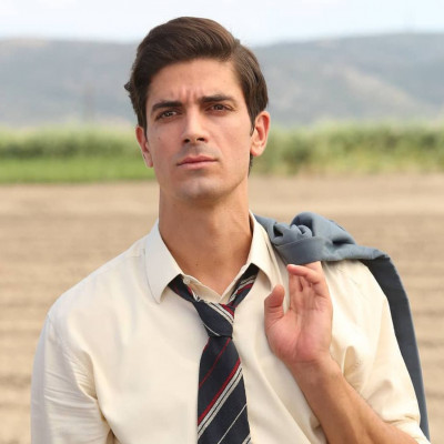 Άγριες Μέλισσες:Σε περίπτωση που δεν σου αρέσουν οι ξανθοί, υπάρχει και μελαχρινός κούκλος στη σειρά