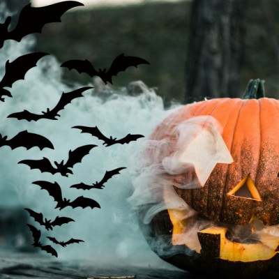 Για ποιον λόγο οι νυχτερίδες είναι το σύμβολο - statement του Halloween;