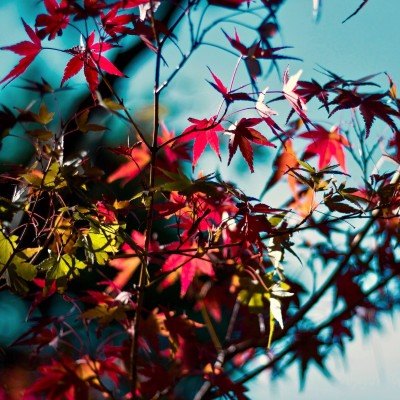 Οι καλύτερες εικόνες για screensavers που θα διακοσμούν τέλεια την οθόνη του κινητού σου