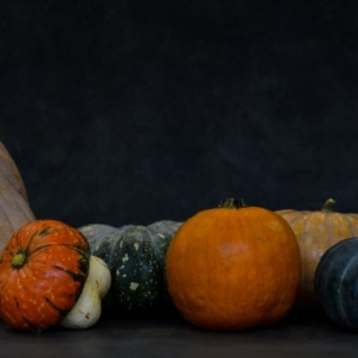 Ο γευστικός κόσμος της κολοκύθας: Όλες οι ποικιλίες και οι χρήσεις