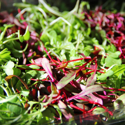 Φυλλώδη λαχανικά: Είδη και διατροφική αξία (εικόνες)