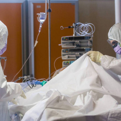 Κορονοϊός: «Κολλάει» από τα κουνούπια ή όχι; - ΟΛΗ Η ΑΛΗΘΕΙΑ