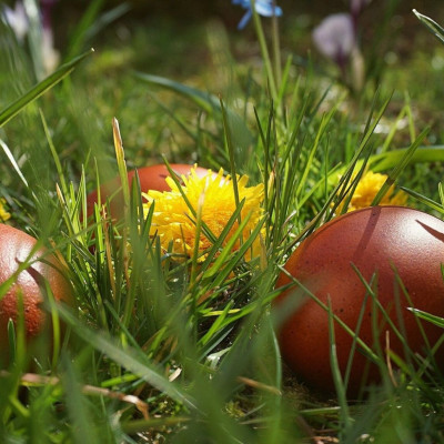 Απίστευτη Ελληνίδα γιαγιά: Η χειρόγραφη «βεβαίωση» για τα πασχαλινά αυγά (video)